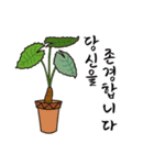 植物の鉢植えと手渡す良い言葉（個別スタンプ：17）