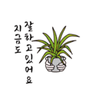 植物の鉢植えと手渡す良い言葉（個別スタンプ：30）