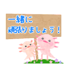 敬語！挨拶！✨ウーパールーパー（個別スタンプ：33）