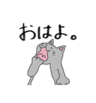 くま、うさぎ、ねこ（個別スタンプ：6）