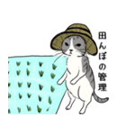 農家なねこちゃん（個別スタンプ：10）