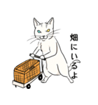 農家なねこちゃん（個別スタンプ：11）