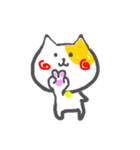 ねこの○猫さん（個別スタンプ：16）