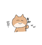 どうも〜 ねこのこぶです（個別スタンプ：12）