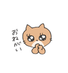 どうも〜 ねこのこぶです（個別スタンプ：20）