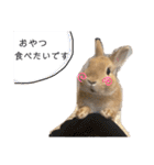 むぎぞーくんスタンプ（個別スタンプ：10）