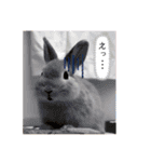 むぎぞーくんスタンプ（個別スタンプ：13）