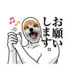 秋田犬ふふのぼやき（個別スタンプ：3）