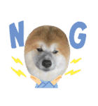 秋田犬ふふのぼやき（個別スタンプ：7）