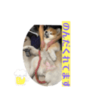 秋田犬ふふのぼやき（個別スタンプ：14）