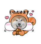秋田犬ふふのぼやき（個別スタンプ：15）