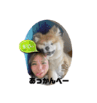 秋田犬ふふのぼやき（個別スタンプ：20）