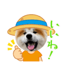 秋田犬ふふのぼやき（個別スタンプ：21）