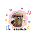 秋田犬ふふのぼやき（個別スタンプ：23）