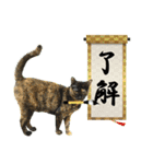 サビ猫と愉快な仲間達（個別スタンプ：16）