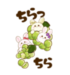 【Big】ぽっちゃりウサギ 3『フルーツ』（個別スタンプ：13）