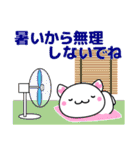 大人のかわいい敬語スタンプ ねこ 夏編（個別スタンプ：1）