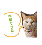ASUMO改（個別スタンプ：1）