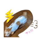 ASUMO改（個別スタンプ：2）