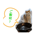 ASUMO改（個別スタンプ：3）