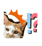 ASUMO改（個別スタンプ：9）