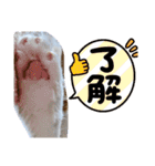 ASUMO改（個別スタンプ：12）