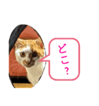 ASUMO改（個別スタンプ：13）