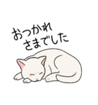 白猫すずらんの日常で使えるシンプル敬語（個別スタンプ：30）