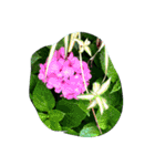 cocope of Small companion（個別スタンプ：3）