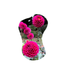 cocope of Small companion（個別スタンプ：12）