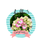 cocope of Small companion（個別スタンプ：16）
