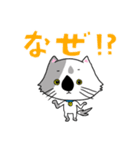 かわいい猫 テンのスタンプ⑧（個別スタンプ：16）