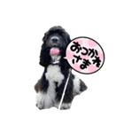 みんな大好きリントくん2（個別スタンプ：12）