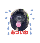 みんな大好きリントくん2（個別スタンプ：18）