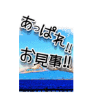 海釣り☆BIG☆埼玉の黒鯛魂-リアル-（個別スタンプ：16）