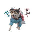 momo my dog ②（個別スタンプ：2）