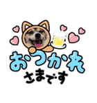 momo my dog ②（個別スタンプ：5）