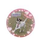 momo my dog ②（個別スタンプ：13）