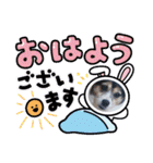 momo my dog ②（個別スタンプ：17）