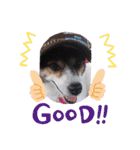 momo my dog ②（個別スタンプ：18）