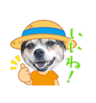 momo my dog ②（個別スタンプ：19）