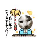 猫のスタンプ追加バージョン（個別スタンプ：5）