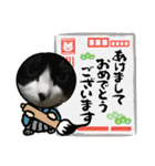 猫のスタンプ追加バージョン（個別スタンプ：6）