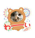 猫のスタンプ追加バージョン（個別スタンプ：8）