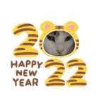 猫のスタンプ追加バージョン（個別スタンプ：10）