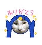 猫のスタンプ追加バージョン（個別スタンプ：11）