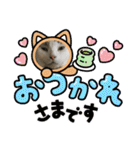 猫のスタンプ追加バージョン（個別スタンプ：13）