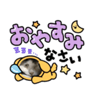 猫のスタンプ追加バージョン（個別スタンプ：15）