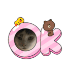 猫のスタンプ追加バージョン（個別スタンプ：19）
