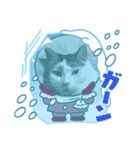 猫のスタンプ追加バージョン（個別スタンプ：25）